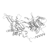 The deposited structure of PDB entry 7qhs contains 1 copy of Pfam domain PF22207 (MCM3 winged helix domain) in DNA replication licensing factor MCM3. Showing 1 copy in chain B [auth 3] (this domain is out of the observed residue ranges!).