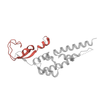 The deposited structure of PDB entry 7qhs contains 1 copy of Pfam domain PF22466 (GINS/PriA/YqbF domain) in DNA replication complex GINS protein PSF3. Showing 1 copy in chain H [auth C].