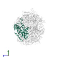 DNA replication licensing factor MCM2 in PDB entry 7qhs, assembly 1, side view.