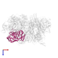 DNA replication licensing factor MCM6 in PDB entry 7qhs, assembly 1, top view.