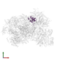 DNA replication complex GINS protein PSF3 in PDB entry 7qhs, assembly 1, front view.