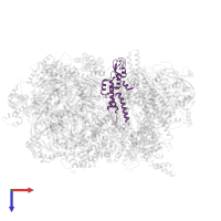 DNA replication complex GINS protein PSF3 in PDB entry 7qhs, assembly 1, top view.