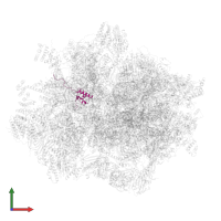 Small ribosomal subunit protein bS18m in PDB entry 7qi5, assembly 1, front view.