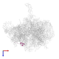 Small ribosomal subunit protein bS18m in PDB entry 7qi5, assembly 1, top view.