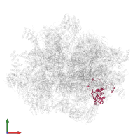 Large ribosomal subunit protein uL15m in PDB entry 7qi5, assembly 1, front view.