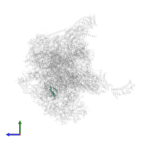 Large ribosomal subunit protein bL35m in PDB entry 7qi5, assembly 1, side view.
