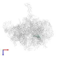 Large ribosomal subunit protein bL35m in PDB entry 7qi5, assembly 1, top view.