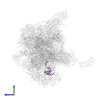 Large ribosomal subunit protein mL48 in PDB entry 7qi5, assembly 1, side view.