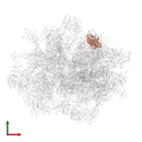 Large ribosomal subunit protein mL65 in PDB entry 7qi5, assembly 1, front view.