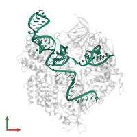 FANCF sgRNA in PDB entry 7qqv, assembly 1, front view.