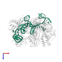 FANCF sgRNA in PDB entry 7qqv, assembly 1, top view.