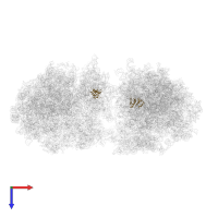 40S ribosomal protein S15a in PDB entry 7qvp, assembly 1, top view.