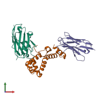 Hetero trimeric assembly 1 of PDB entry 7r1z coloured by chemically distinct molecules, front view.