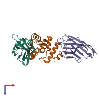 Hetero trimeric assembly 1 of PDB entry 7r1z coloured by chemically distinct molecules, top view.