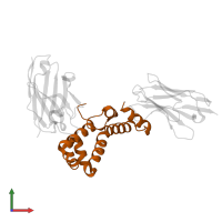 Activity-regulated cytoskeleton-associated protein in PDB entry 7r1z, assembly 1, front view.
