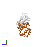 Activity-regulated cytoskeleton-associated protein in PDB entry 7r1z, assembly 1, side view.