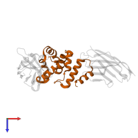 Activity-regulated cytoskeleton-associated protein in PDB entry 7r1z, assembly 1, top view.
