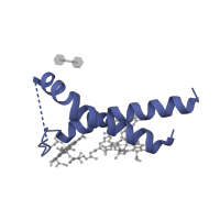 The deposited structure of PDB entry 7r3k contains 1 copy of Pfam domain PF01241 (Photosystem I psaG / psaK) in Photosystem I reaction center subunit V, chloroplastic. Showing 1 copy in chain G.