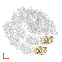 Chlorophyll a-b binding protein, chloroplastic in PDB entry 7r3k, assembly 1, front view.
