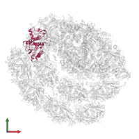 Chlorophyll a-b binding protein, chloroplastic in PDB entry 7r3k, assembly 1, front view.