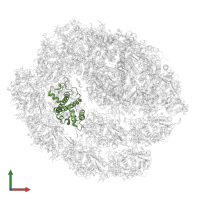 Chlorophyll a-b binding protein, chloroplastic in PDB entry 7r3k, assembly 1, front view.