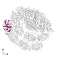 Chlorophyll a-b binding protein, chloroplastic in PDB entry 7r3k, assembly 1, front view.