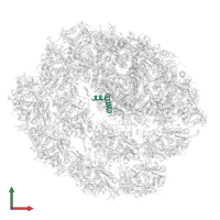 Photosystem I reaction center subunit IX in PDB entry 7r3k, assembly 1, front view.