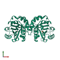 Homo dimeric assembly 1 of PDB entry 7r7m coloured by chemically distinct molecules, front view.