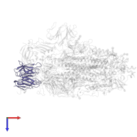 C032 Fab Light Chain in PDB entry 7r8m, assembly 1, top view.