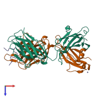 Hetero trimeric assembly 1 of PDB entry 7raj coloured by chemically distinct molecules, top view.