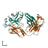 PDB entry 7raq coloured by chain, front view.
