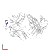 Spike protein S2' in PDB entry 7raq, assembly 1, front view.