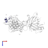 Spike protein S2' in PDB entry 7raq, assembly 1, top view.