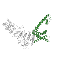 The deposited structure of PDB entry 7rau contains 4 copies of Pfam domain PF00520 (Ion transport protein) in Transient receptor potential cation channel subfamily V member 3. Showing 1 copy in chain A.