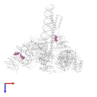 CHAPSO in PDB entry 7rdy, assembly 1, top view.