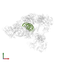 Product RNA in PDB entry 7rdy, assembly 1, front view.