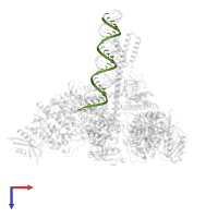 Product RNA in PDB entry 7rdy, assembly 1, top view.