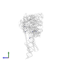 ZINC ION in PDB entry 7re2, assembly 1, side view.