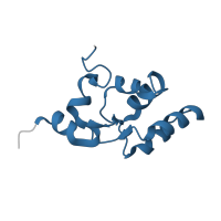 The deposited structure of PDB entry 7rf7 contains 2 copies of Pfam domain PF06514 (Photosystem II 12 kDa extrinsic protein (PsbU)) in Photosystem II extrinsic protein U. Showing 1 copy in chain P [auth U].