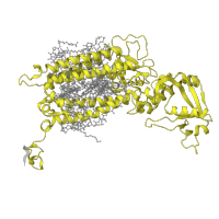 The deposited structure of PDB entry 7rf7 contains 2 copies of Pfam domain PF00421 (Photosystem II protein) in Photosystem II CP47 reaction center protein. Showing 1 copy in chain B.