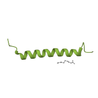 The deposited structure of PDB entry 7rf7 contains 2 copies of Pfam domain PF01788 (PsbJ) in Photosystem II reaction center protein J. Showing 1 copy in chain I [auth J].