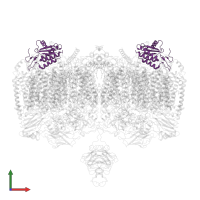 Uncharacterized protein MSMEG_4692/MSMEI_4575 in PDB entry 7rh5, assembly 1, front view.