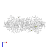 PALMITIC ACID in PDB entry 7rh6, assembly 1, top view.