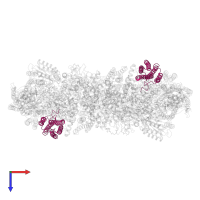 Probable cytochrome c oxidase subunit 3 in PDB entry 7rh6, assembly 1, top view.