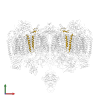 Transmembrane protein in PDB entry 7rh6, assembly 1, front view.