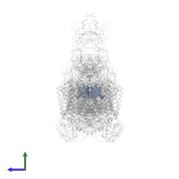 HEME-A in PDB entry 7rh7, assembly 1, side view.