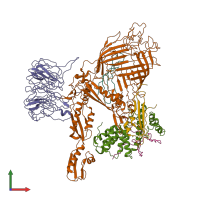 PDB entry 7ri4 coloured by chain, front view.