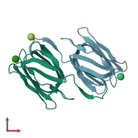 PDB entry 7rki coloured by chain, front view.