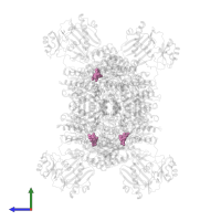 (3S)-citryl-Coenzyme A in PDB entry 7rkz, assembly 1, side view.