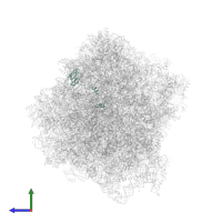 60S ribosomal protein L28 in PDB entry 7rr5, assembly 1, side view.